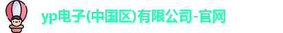 yp电子